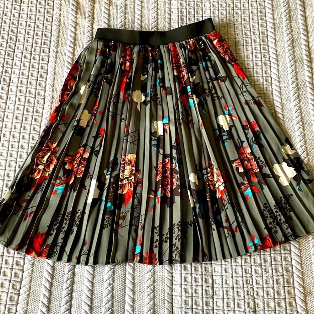 2 for $10 Silk Pleated Skirt